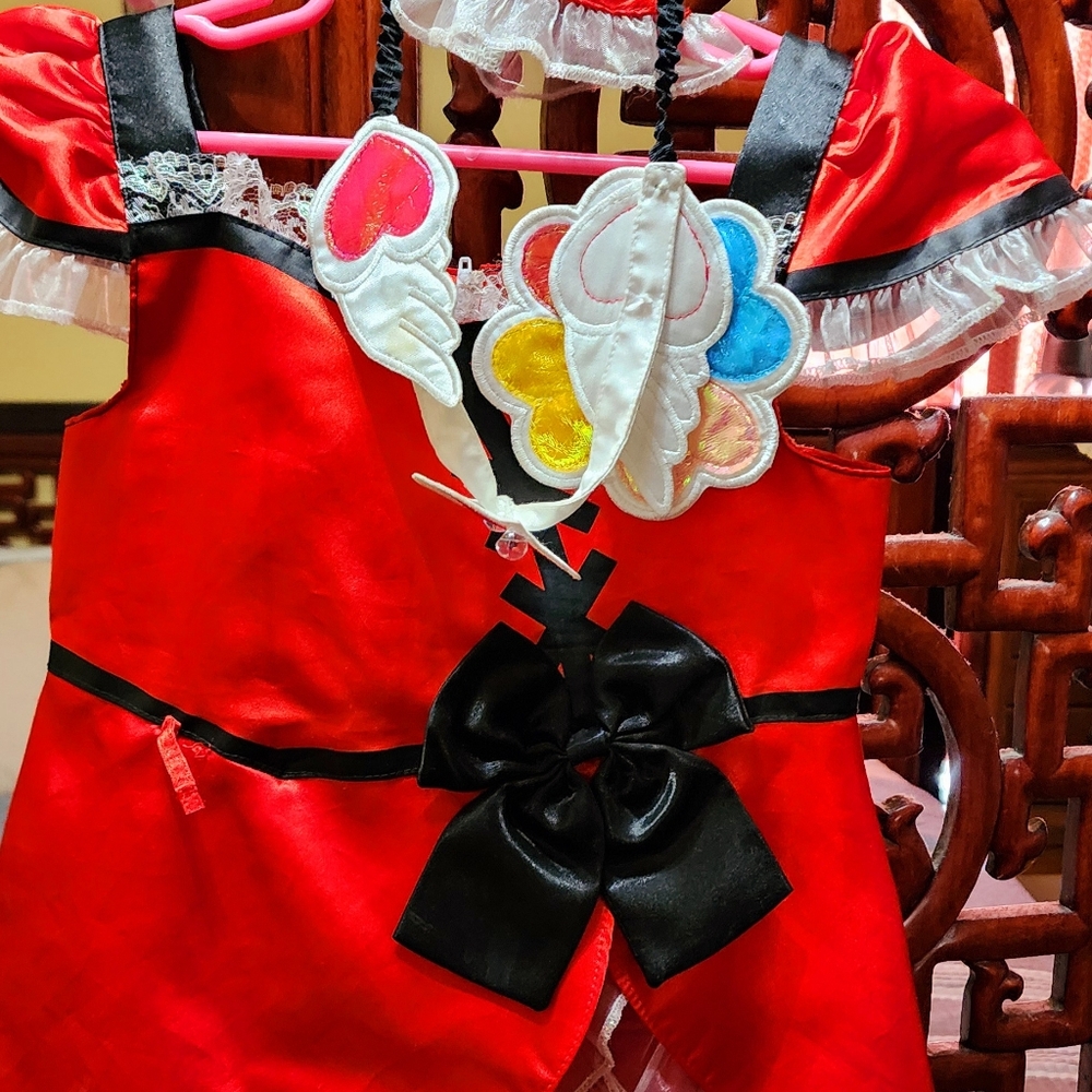 Beautiful Outfit Size S 4t.